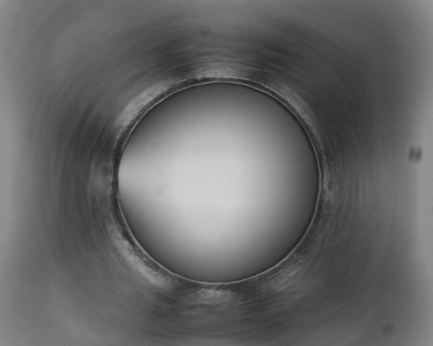 X0000112850437200908281607