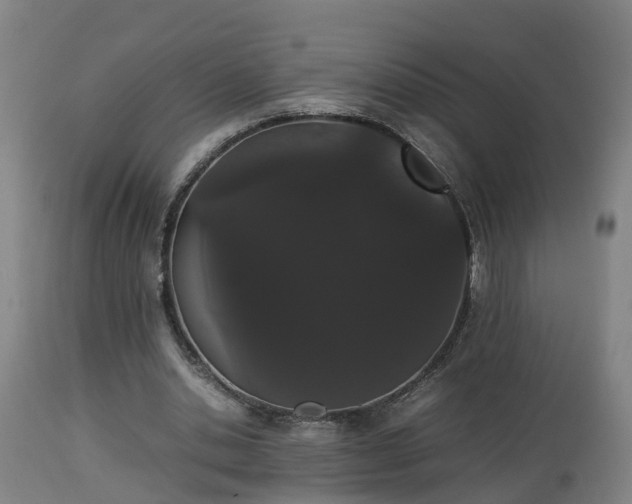 X0000112850438200908281607