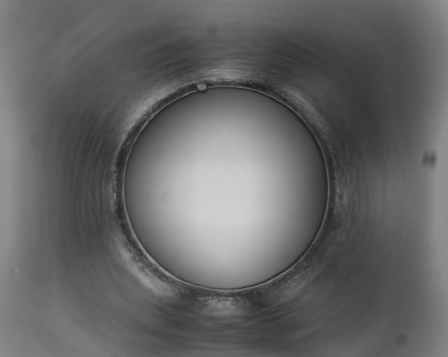 X0000112850439200908281607