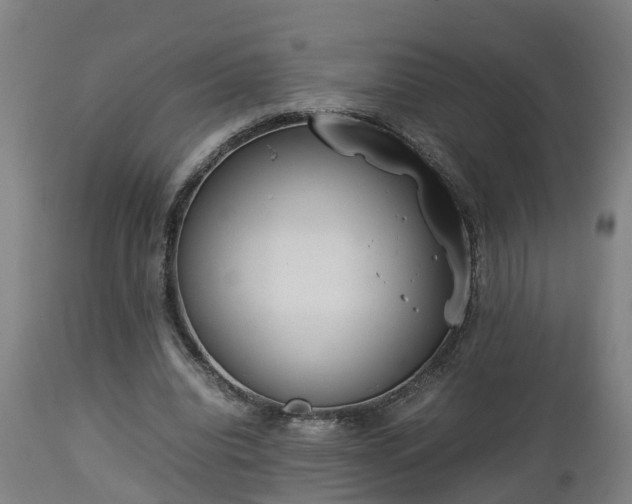 X0000112850440200908281607