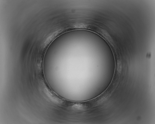 X0000112850441200908281607