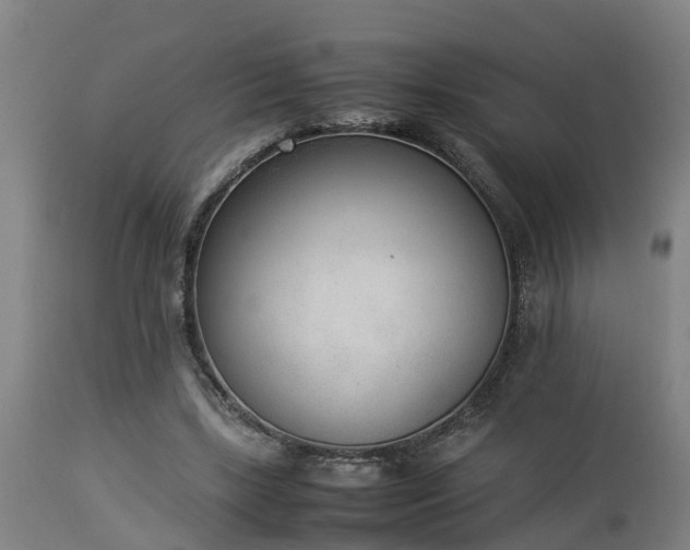 X0000112850443200908281607