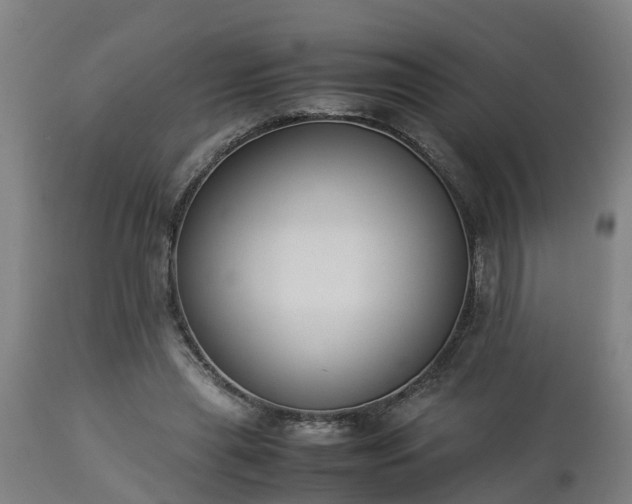 X0000112850445200908281607
