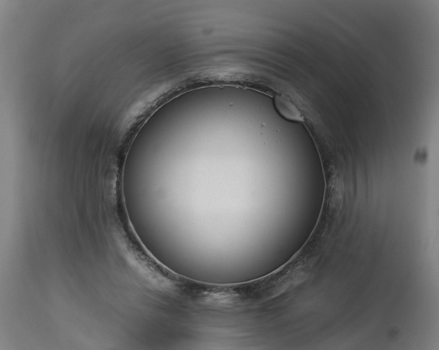 X0000112850446200908281607