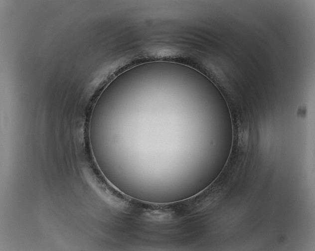 X0000112850447200908281607