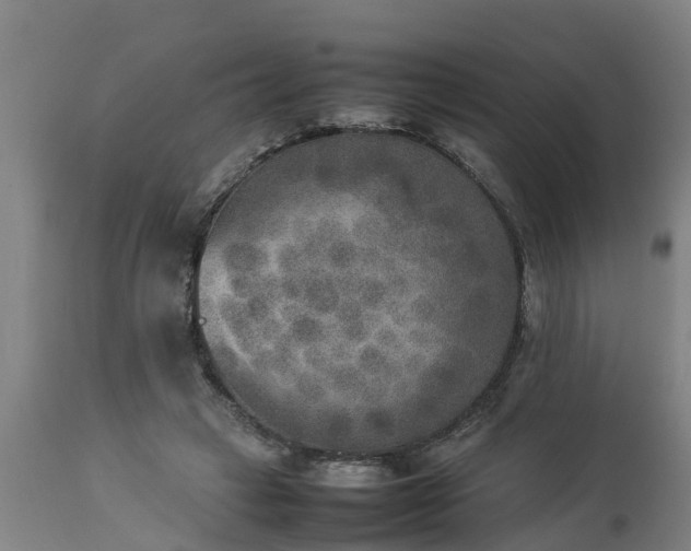 X0000112850449200908281607
