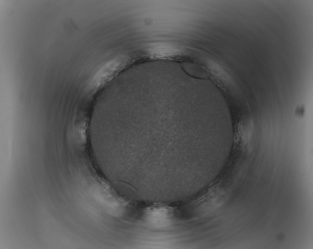 X0000112850452200908281607