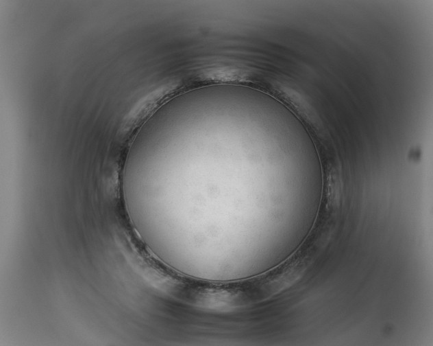 X0000112850453200908281607