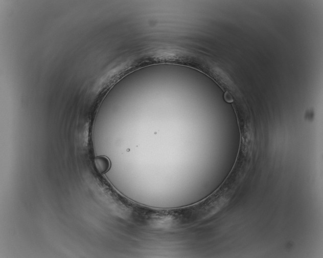 X0000112850454200908281607