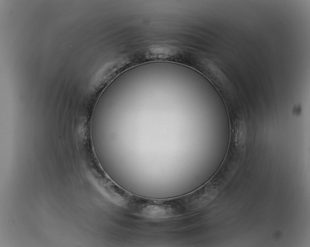X0000112850455200908281607