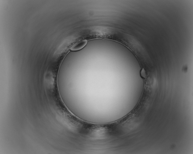 X0000112850456200908281607