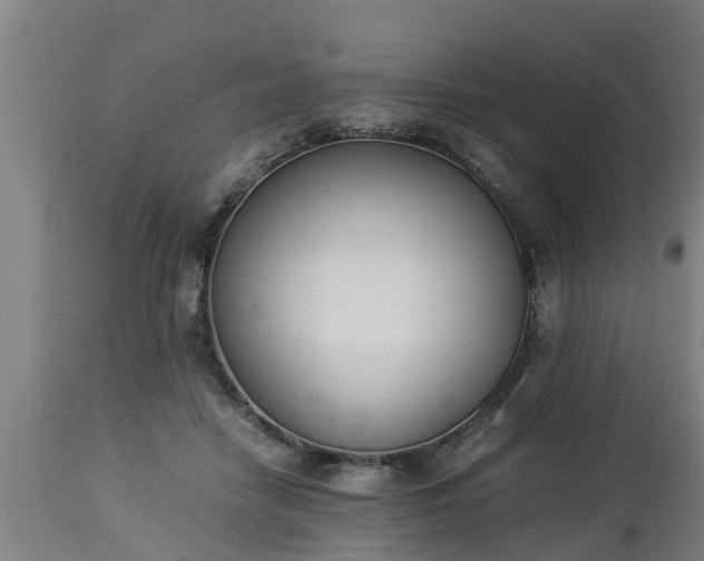 X0000112850458200908281607