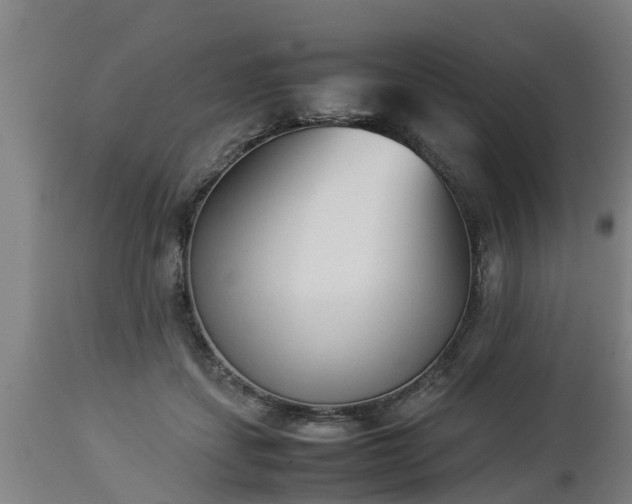 X0000112850459200908281607