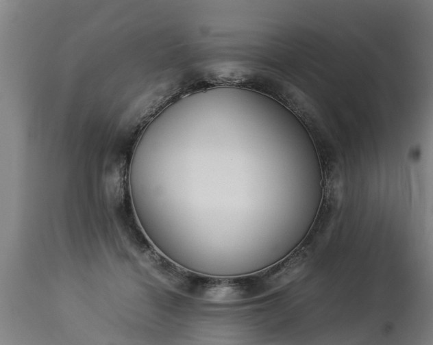 X0000112850460200908281607