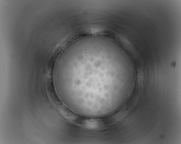X0000112850461200908281607