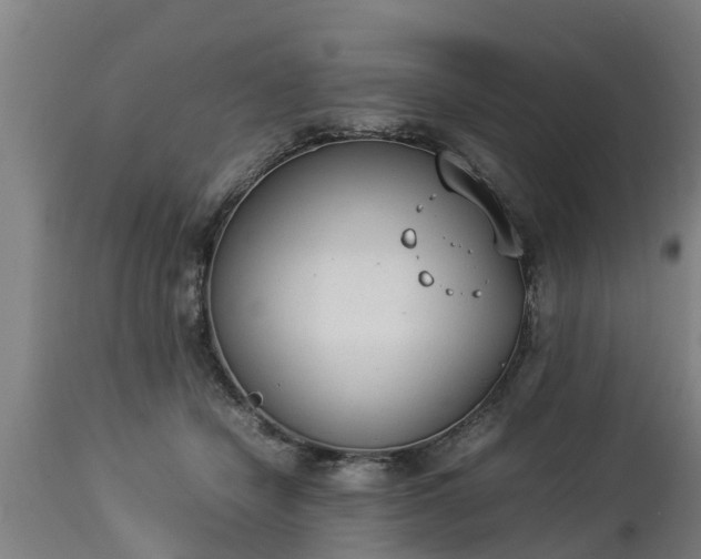 X0000112850462200908281607