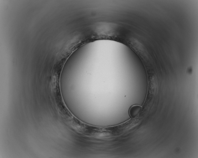 X0000112850463200908281607
