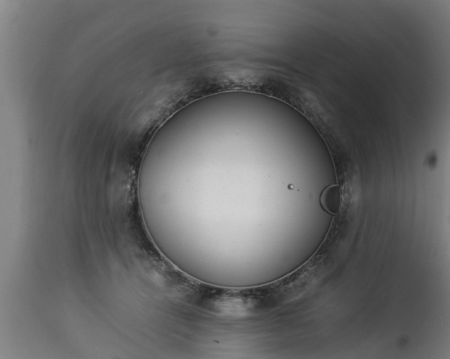 X0000112850464200908281607