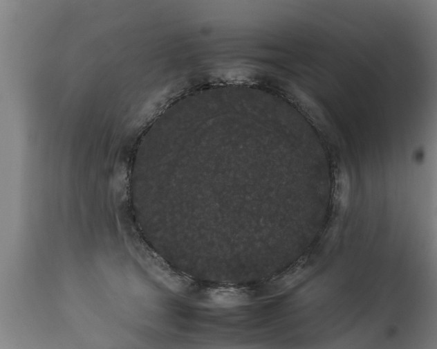 X0000112850465200908281607
