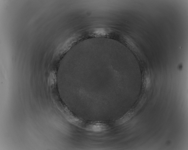 X0000112850467200908281608