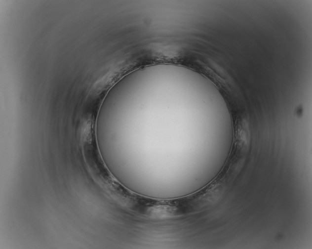 X0000112850468200908281608