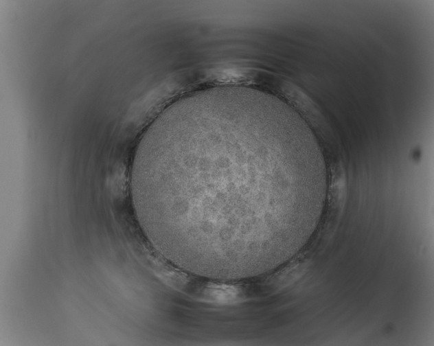 X0000112850469200908281608