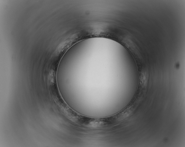 X0000112850470200908281608