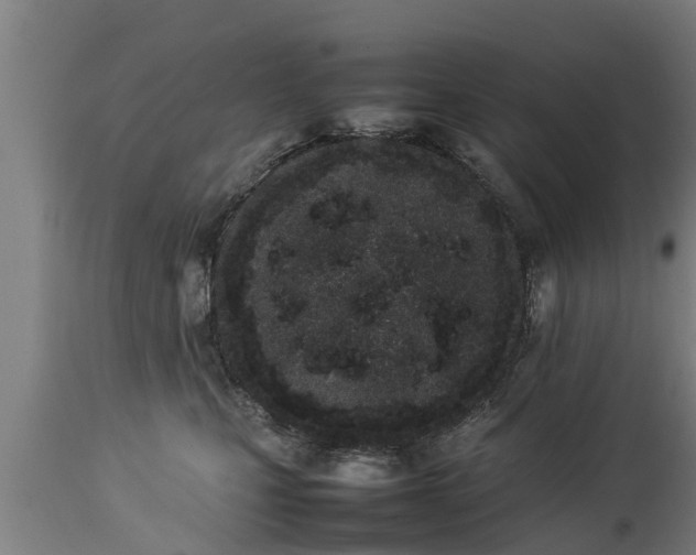 X0000112850471200908281608