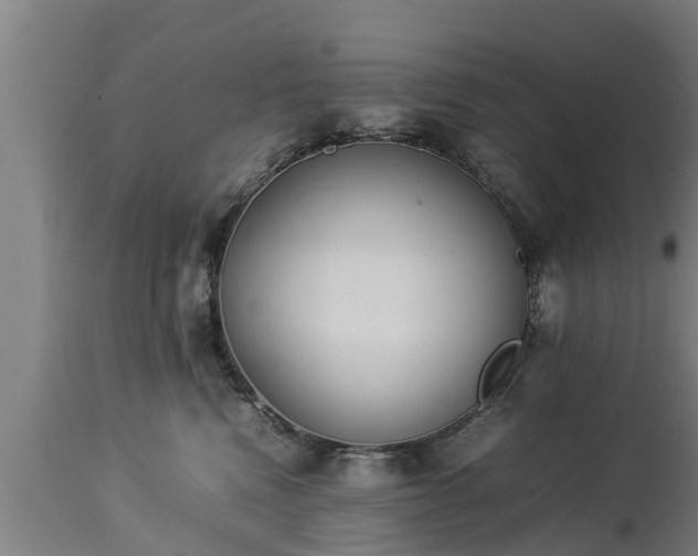 X0000112850472200908281608