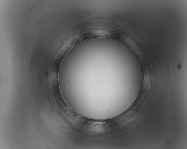 X0000112850473200908281608