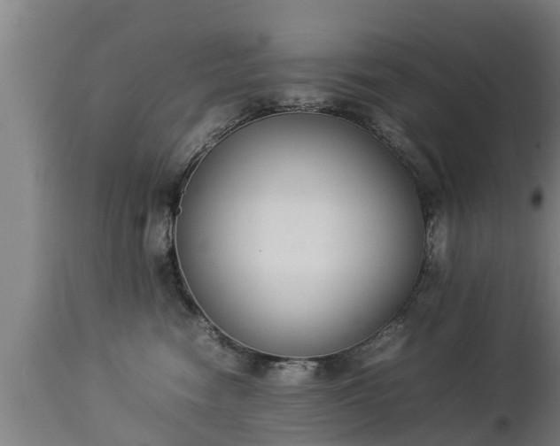 X0000112850474200908281608
