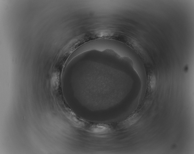 X0000112850475200908281608