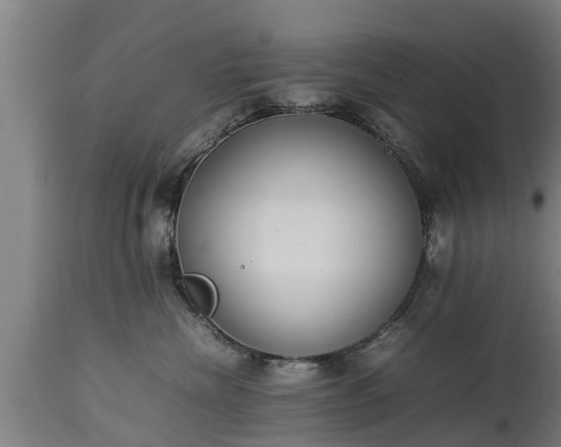 X0000112850476200908281608