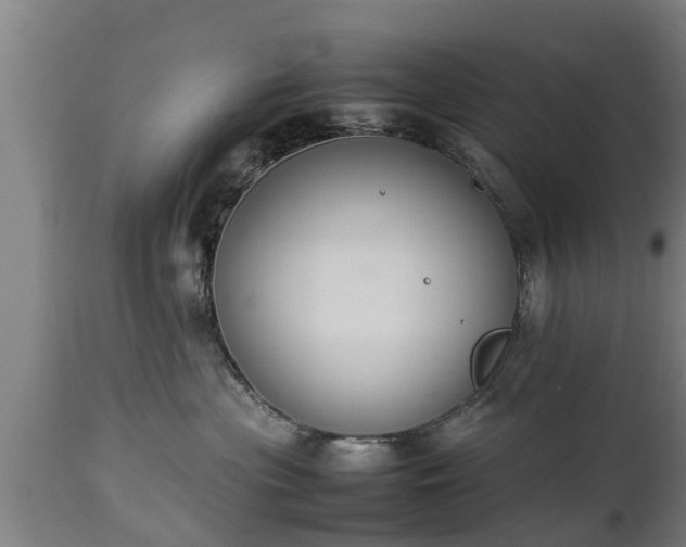 X0000112850477200908281608