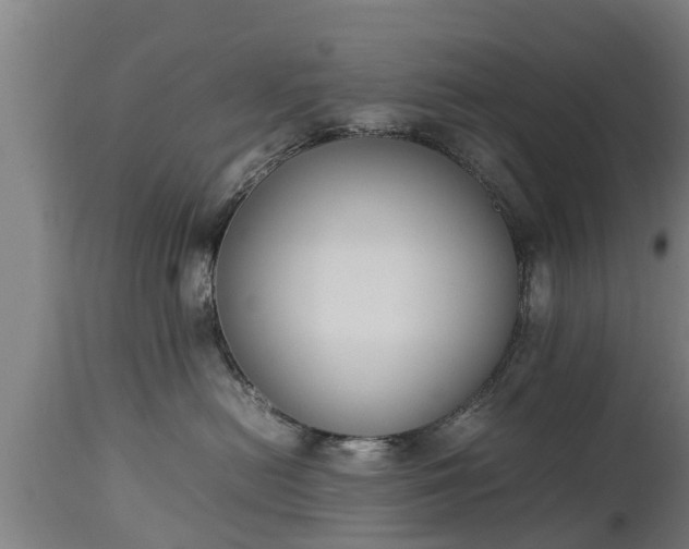 X0000112850478200908281608