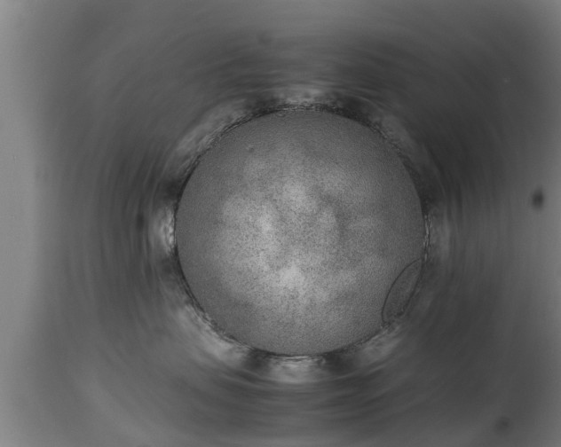 X0000112850479200908281608
