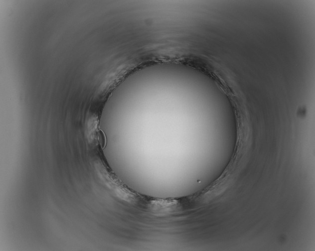 X0000112850480200908281608
