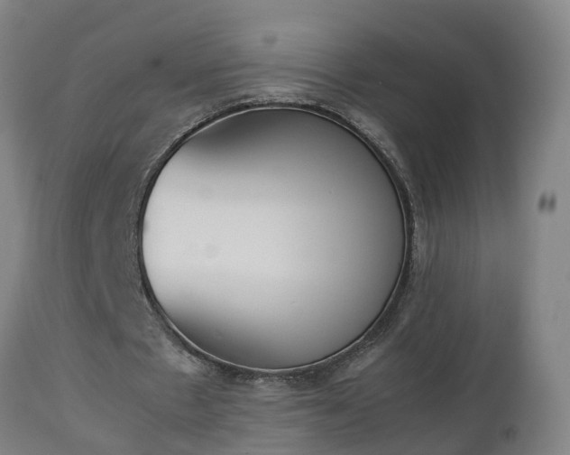 X0000112850481200908281607