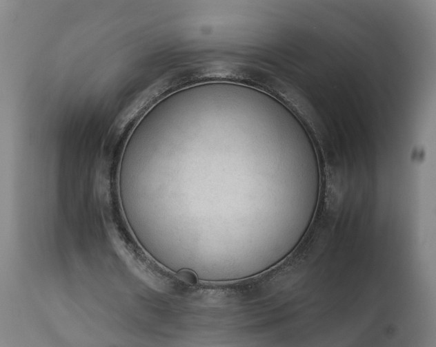 X0000112850482200908281607