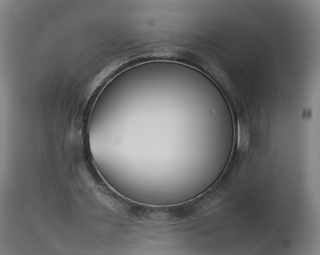 X0000112850483200908281607
