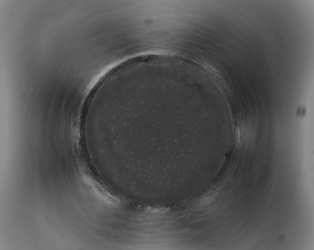 X0000112850484200908281607