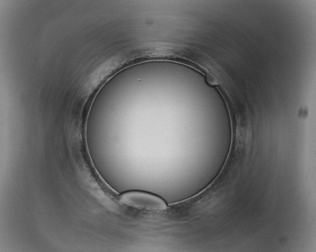 X0000112850485200908281607