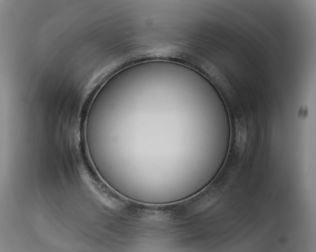 X0000112850486200908281607