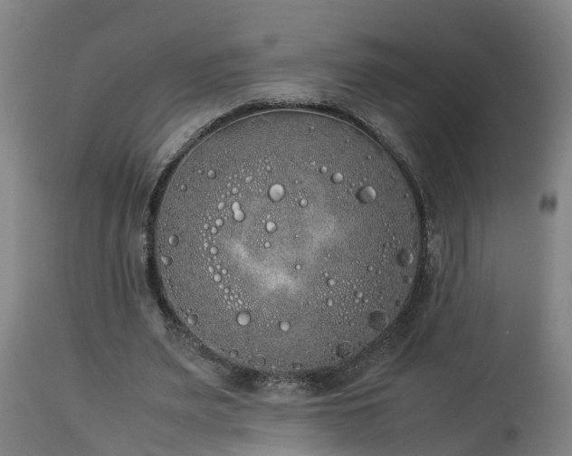 X0000112850487200908281607