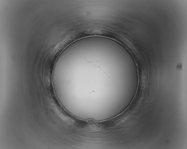 X0000112850489200908281607