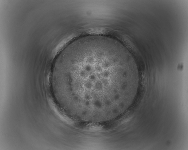 X0000112850491200908281607