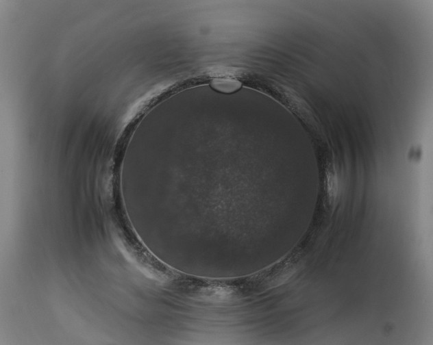X0000112850492200908281607