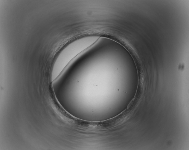 X0000112850493200908281607