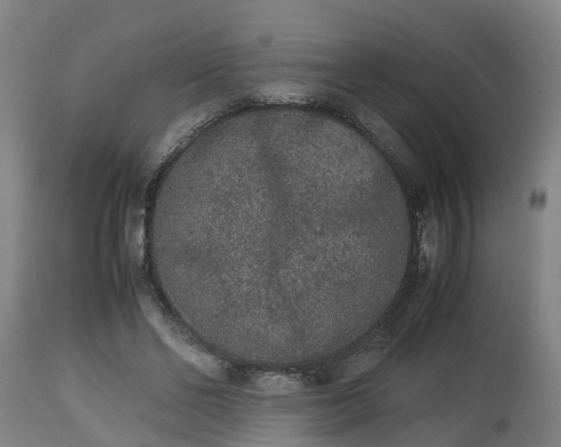 X0000112850494200908281607