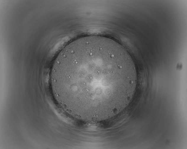 X0000112850495200908281607